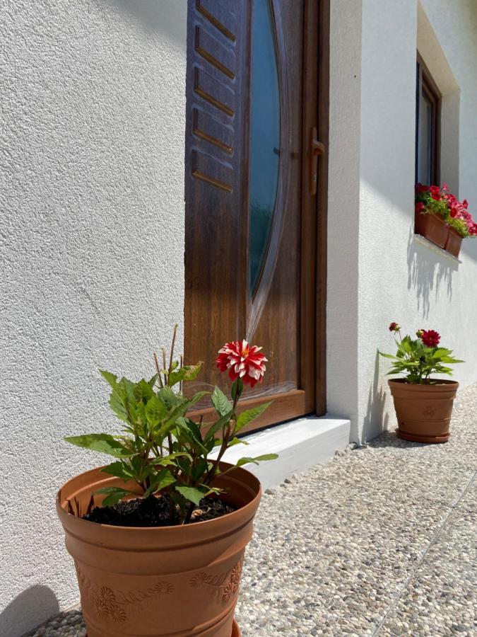 Hill House Emir Villa Bihac Exterior photo